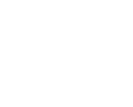 Connector Icon