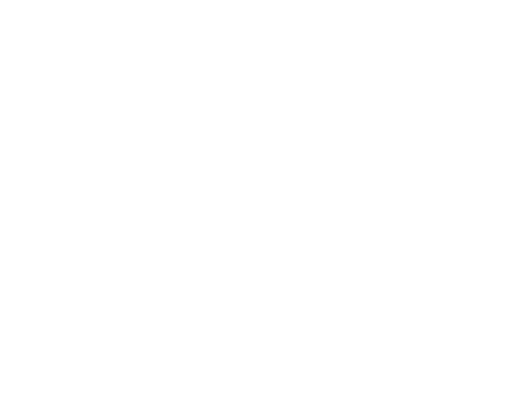 Whitepaper Icon